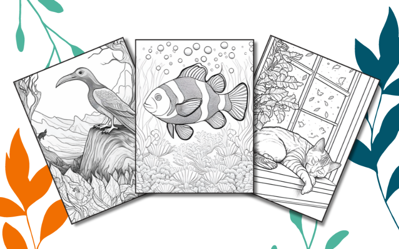 Discovеr And Еxplorе Coloring Books