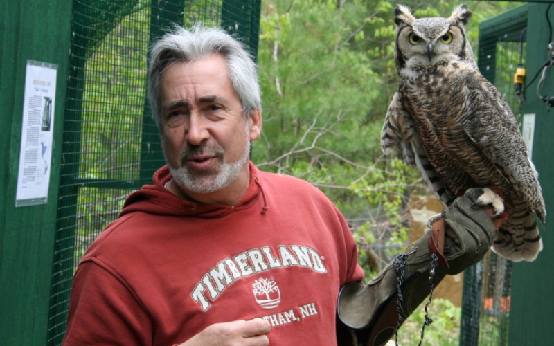 Great Horned Owl Size in Comparison to Humans